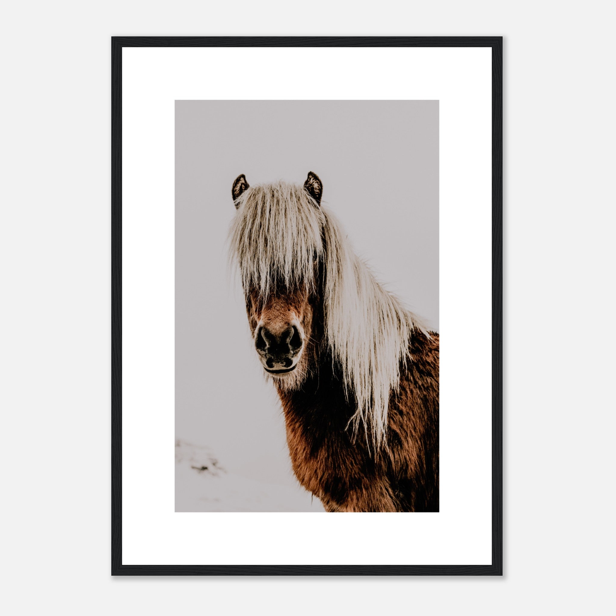 Hermoso retrato de caballo Póster