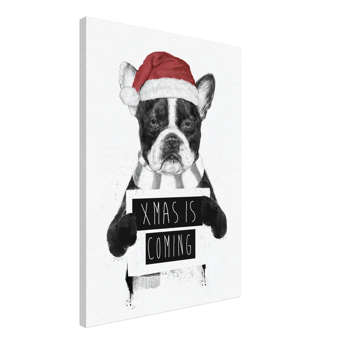 Xmas Is Coming Canvas