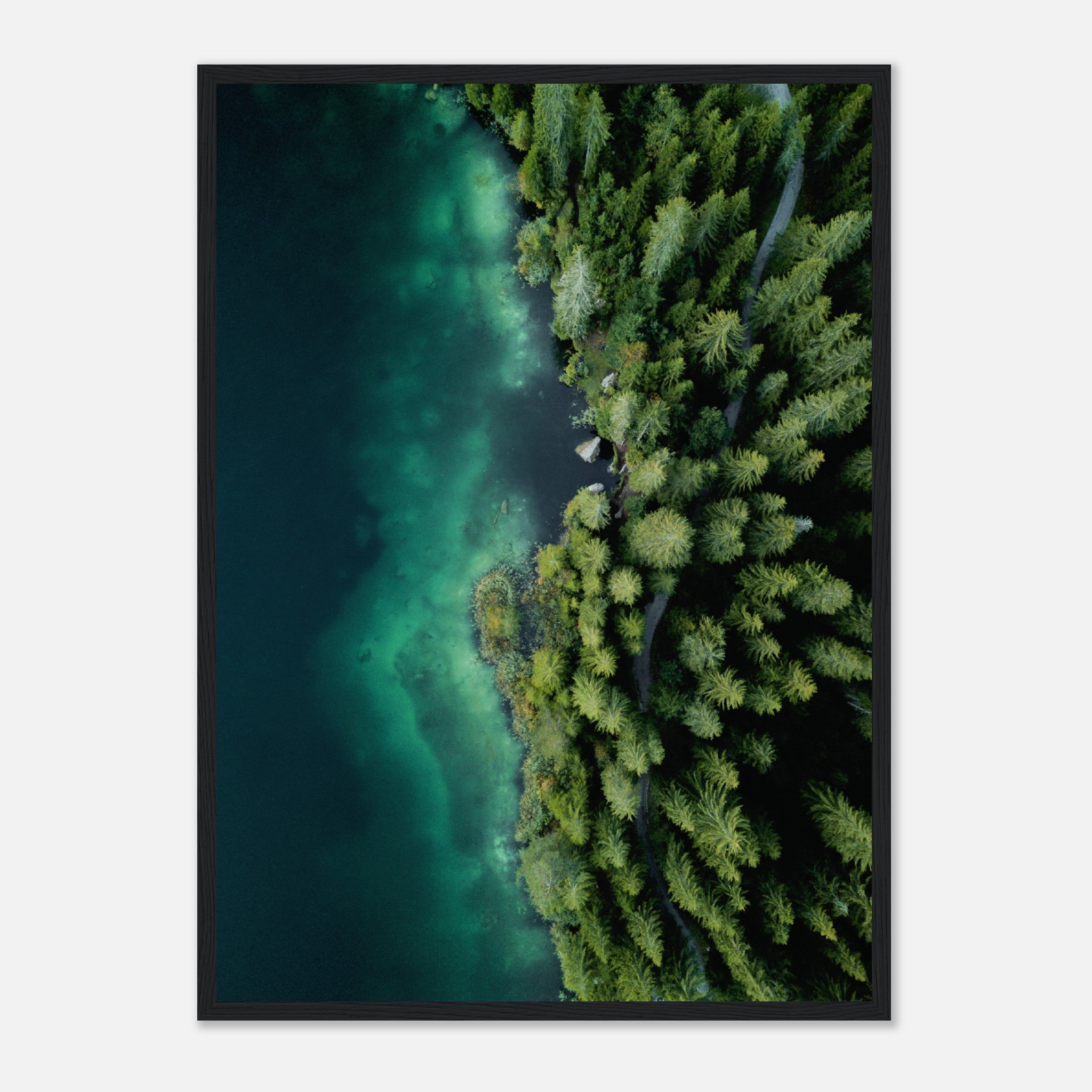 Lake By The Forest From Above Poster