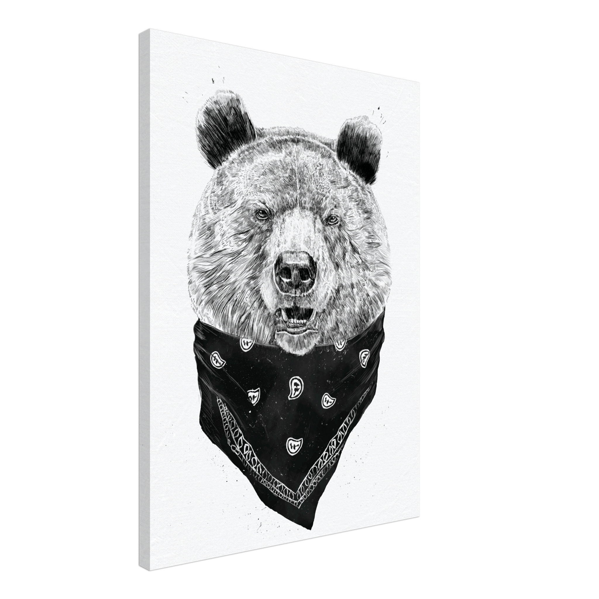 Wild Bear Canvas