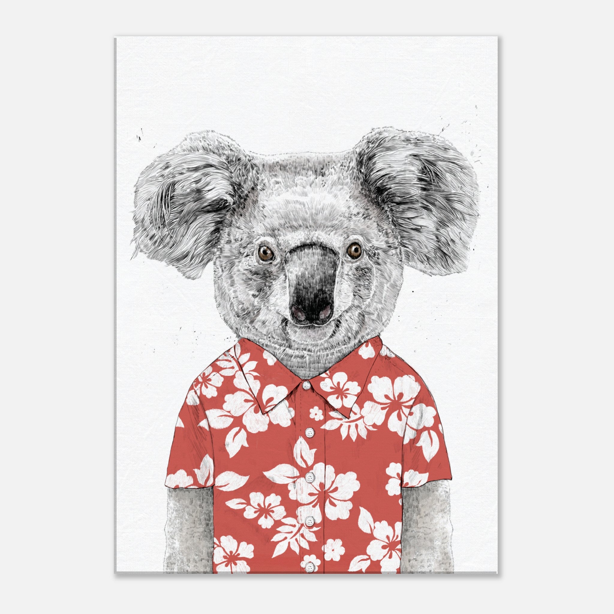Summer Koala Canvas