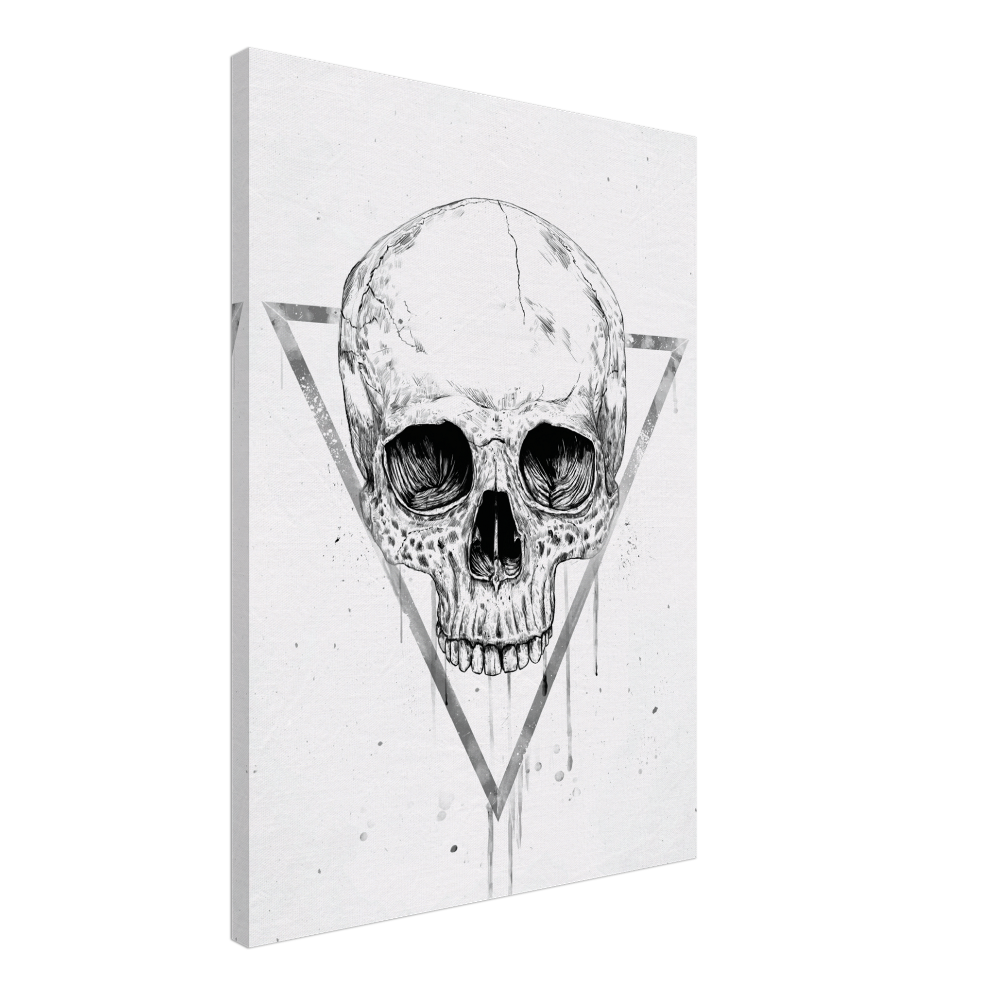 Skull In A Triangle BW Canvas