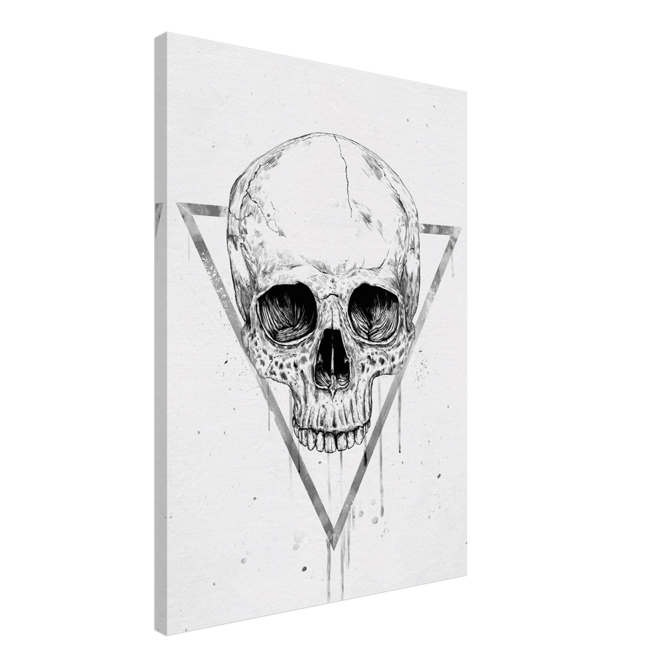 Skull In A Triangle BW Canvas