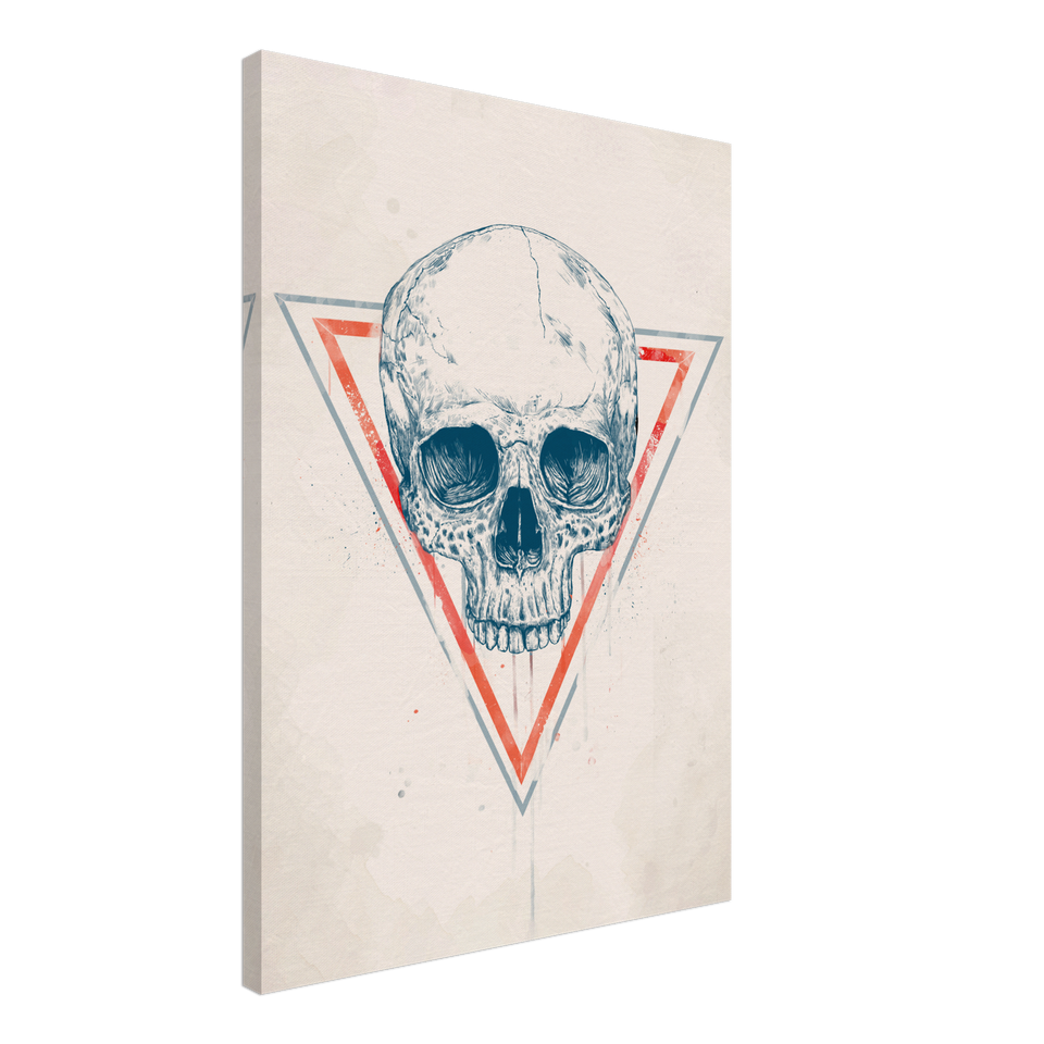 Skull In Triangles Canvas