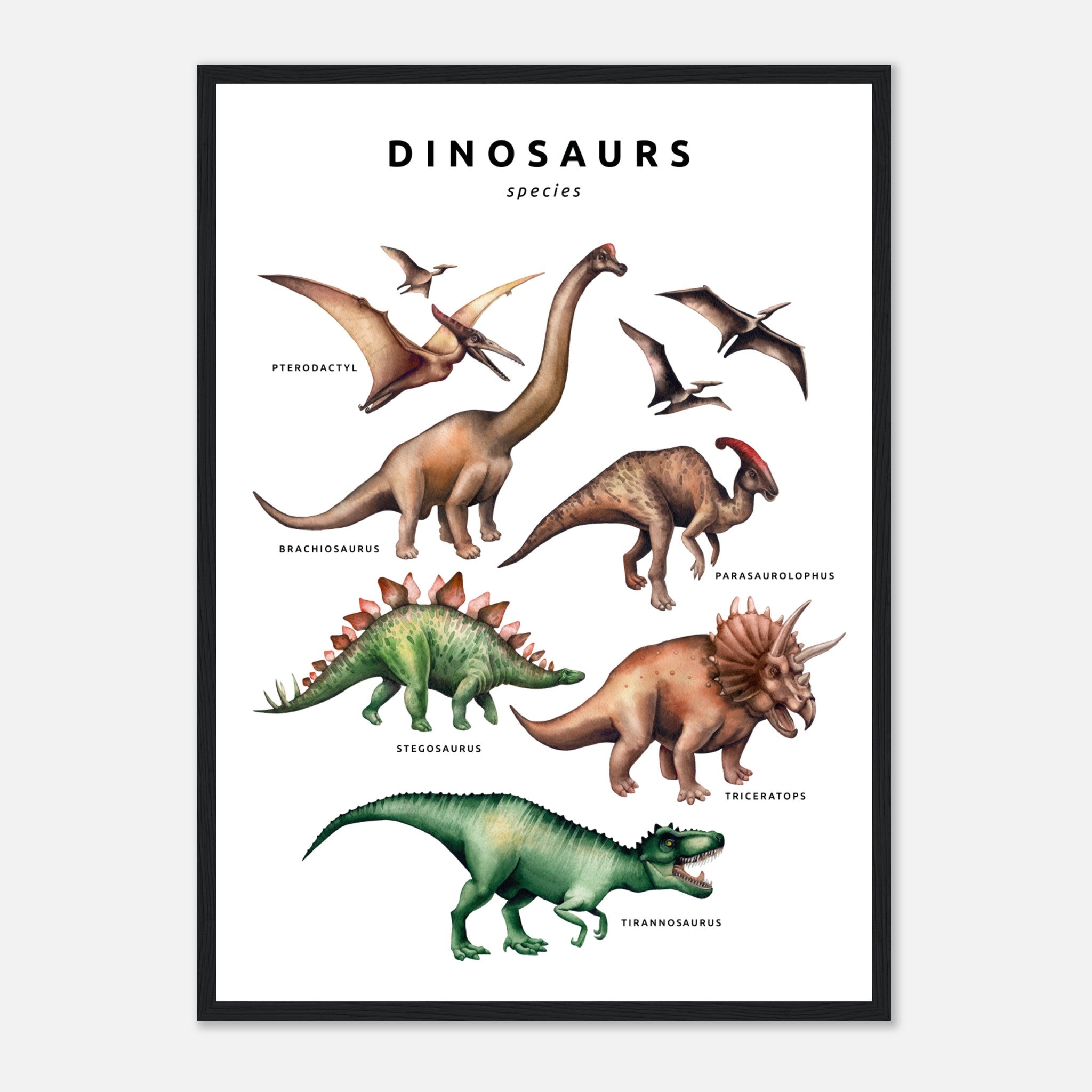 Colección de dinosaurios Póster