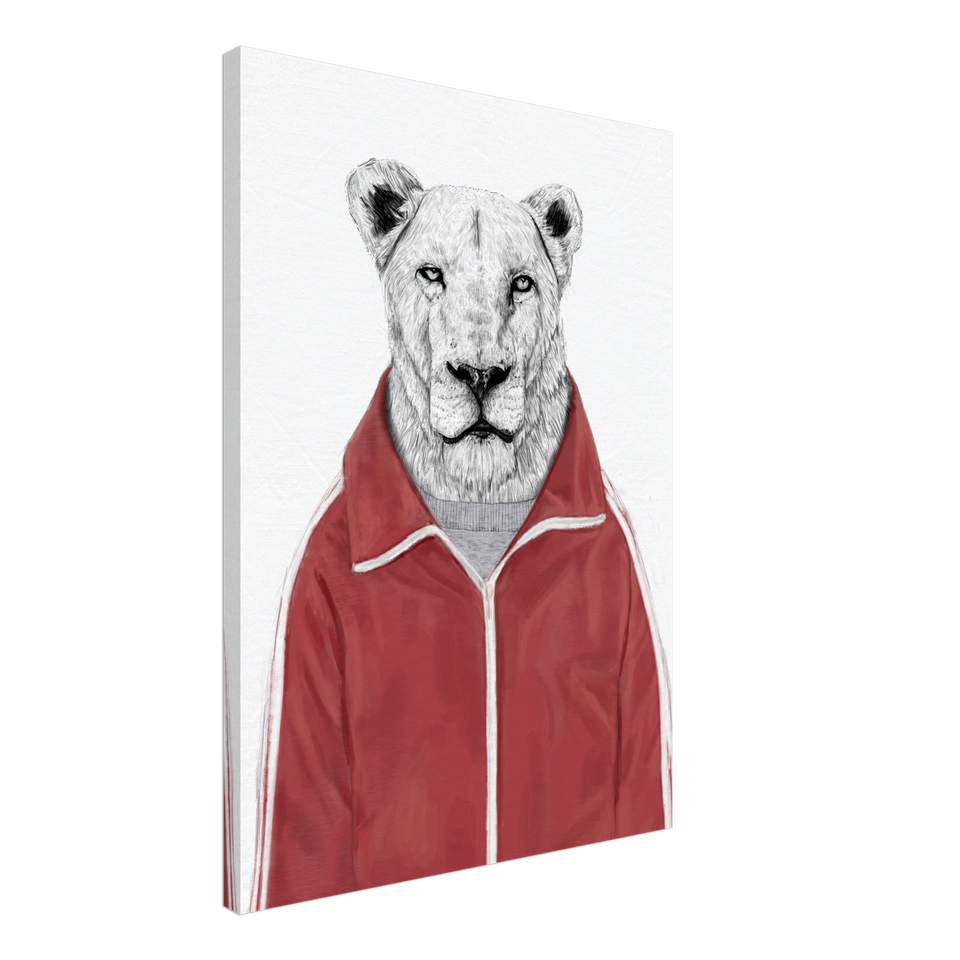 Sporty Lion Canvas