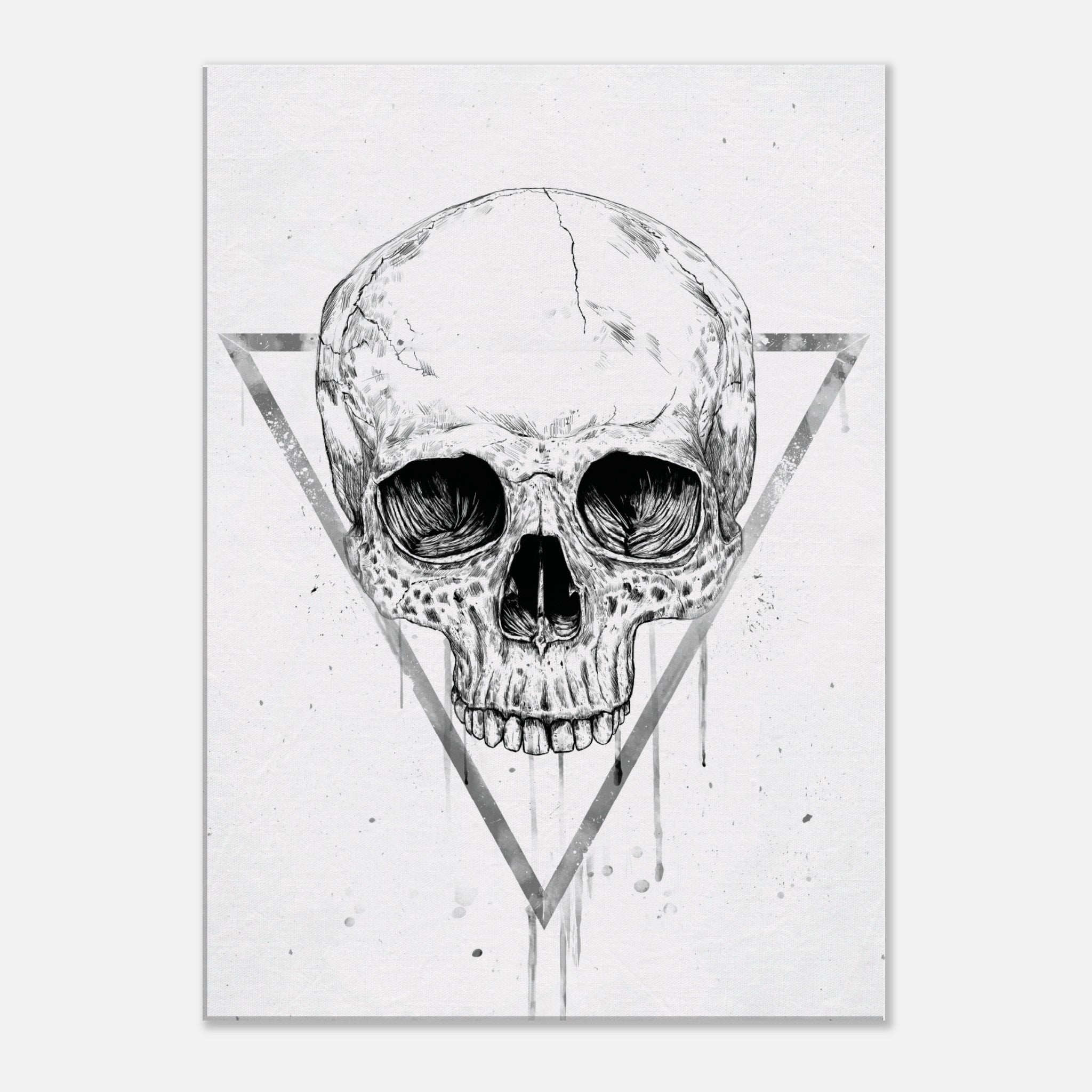 Skull In A Triangle BW Canvas