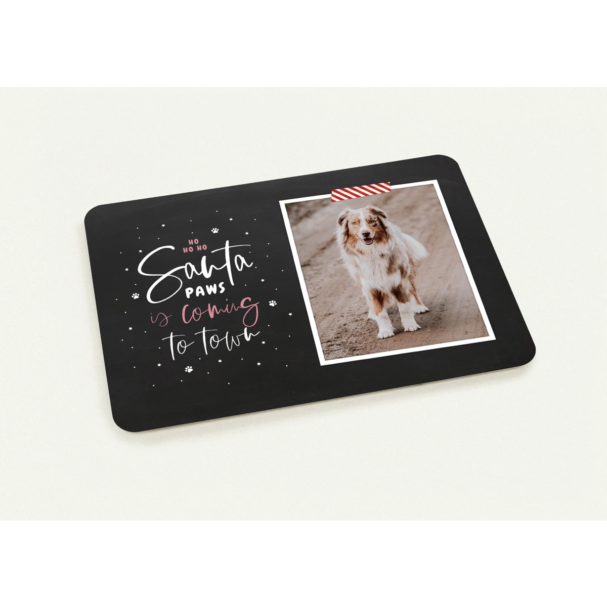 Pets Christmas Cards