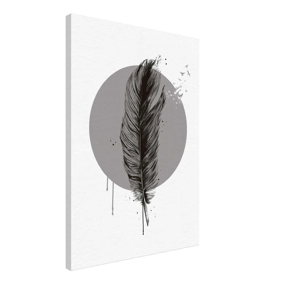 Feather In A Circle BW Canvas