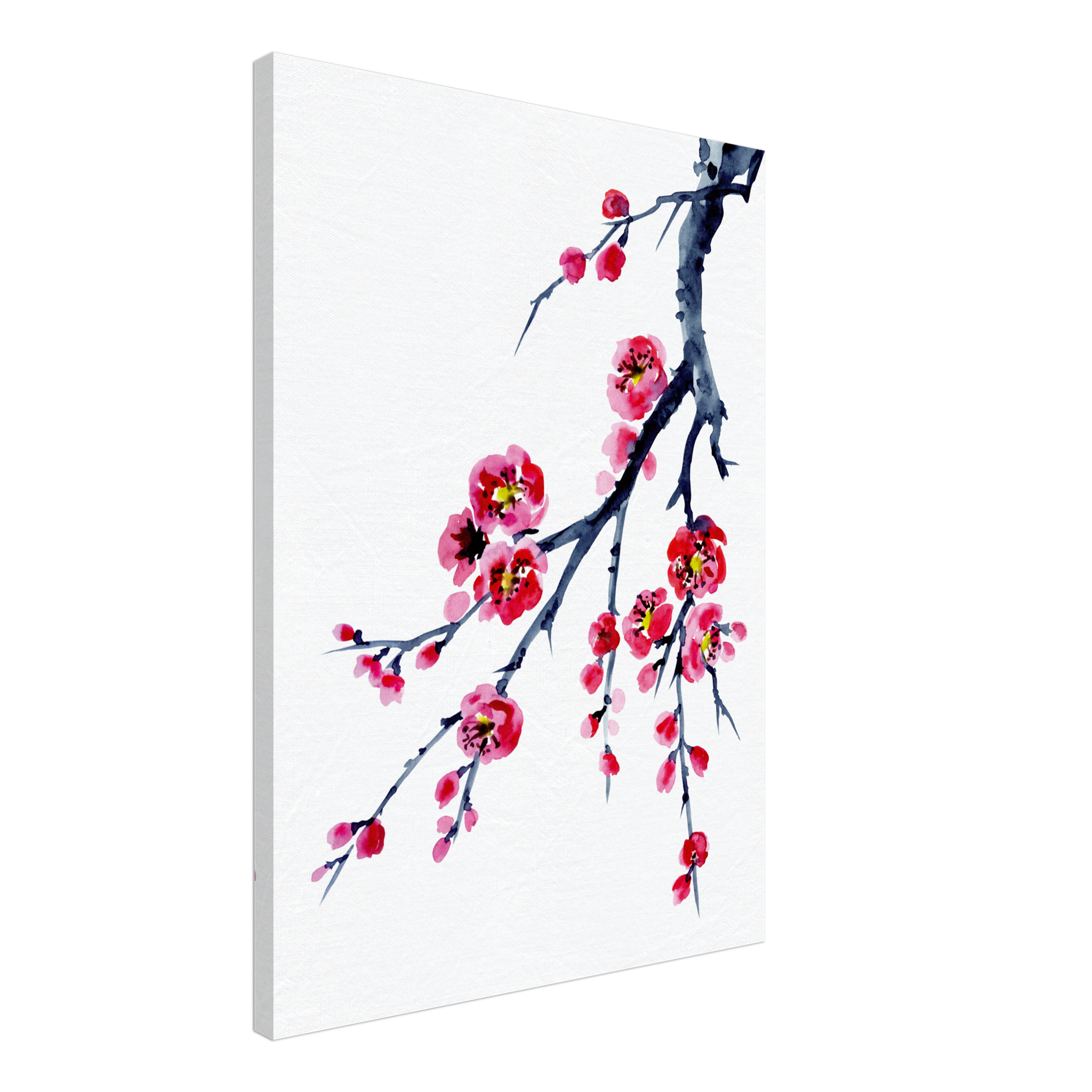 Painted Plum Flower Canvas
