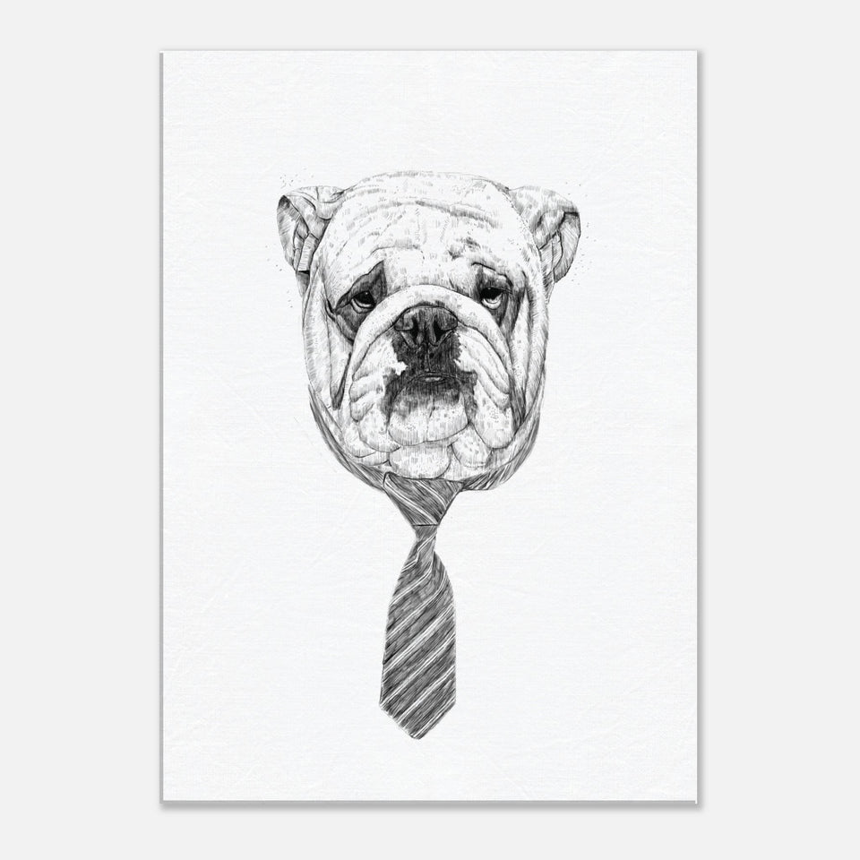 Cool Dog Canvas