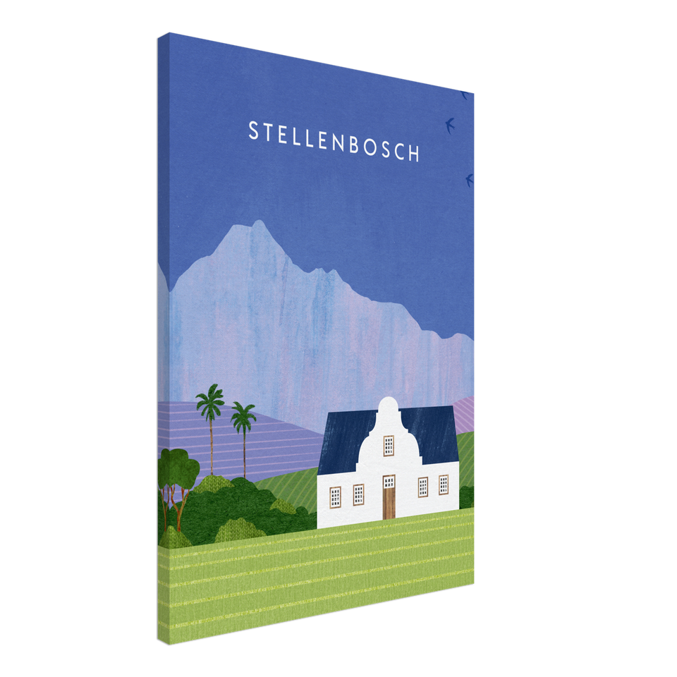 Stellenbosch Canvas