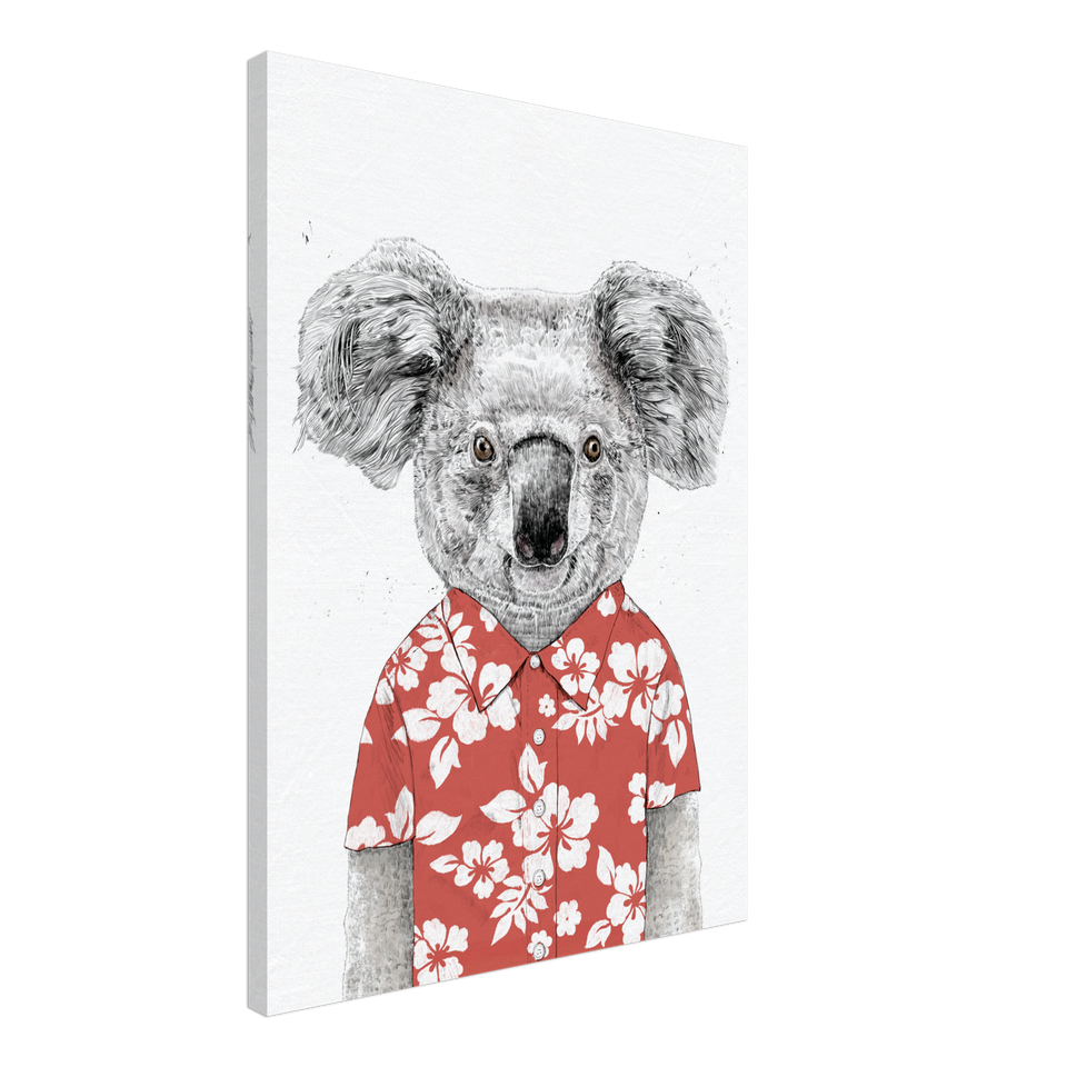 Summer Koala Canvas