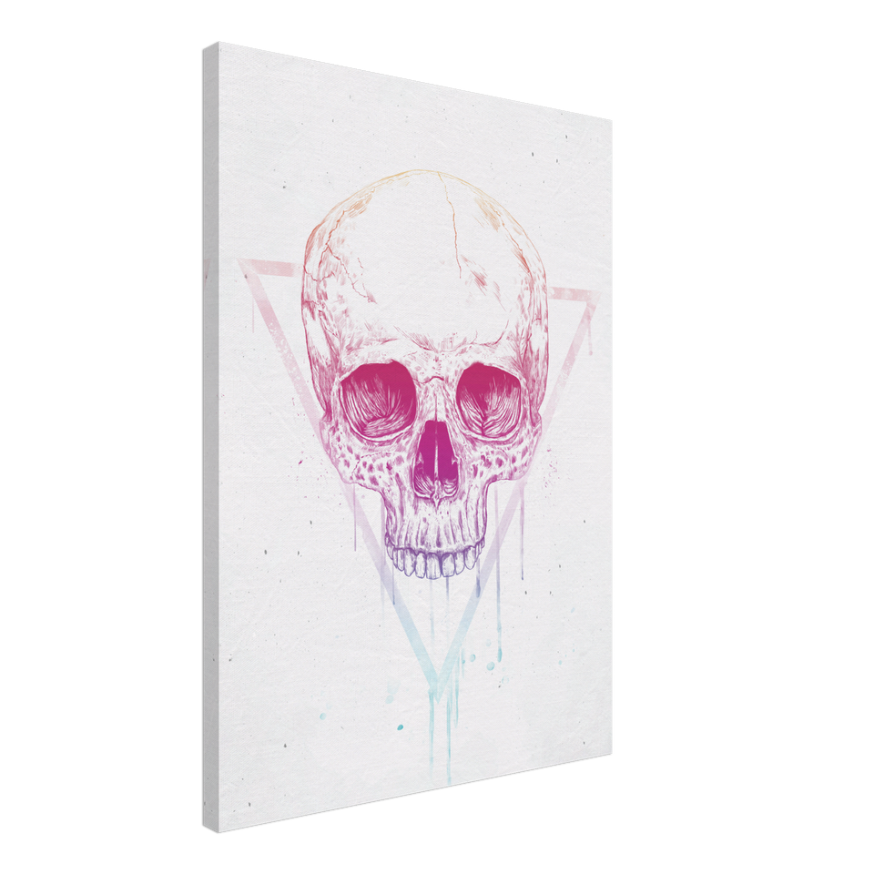 Skull In A Triangle Canvas