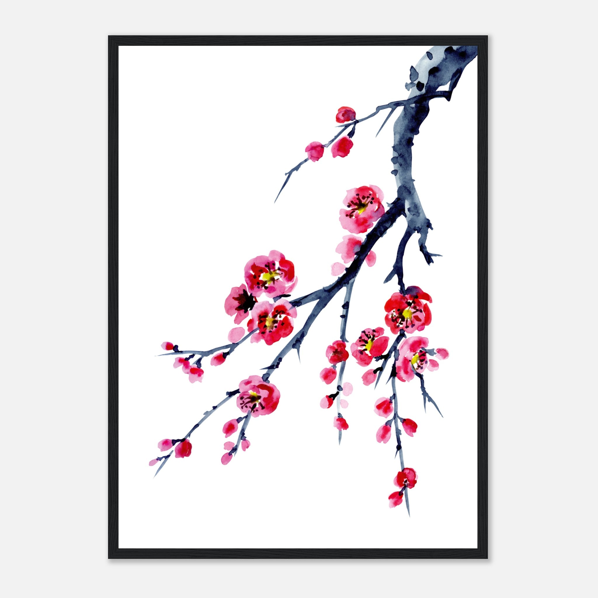 Painted Plum Flower Poster