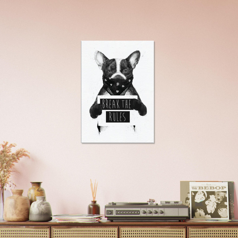 Rebel Dog Canvas