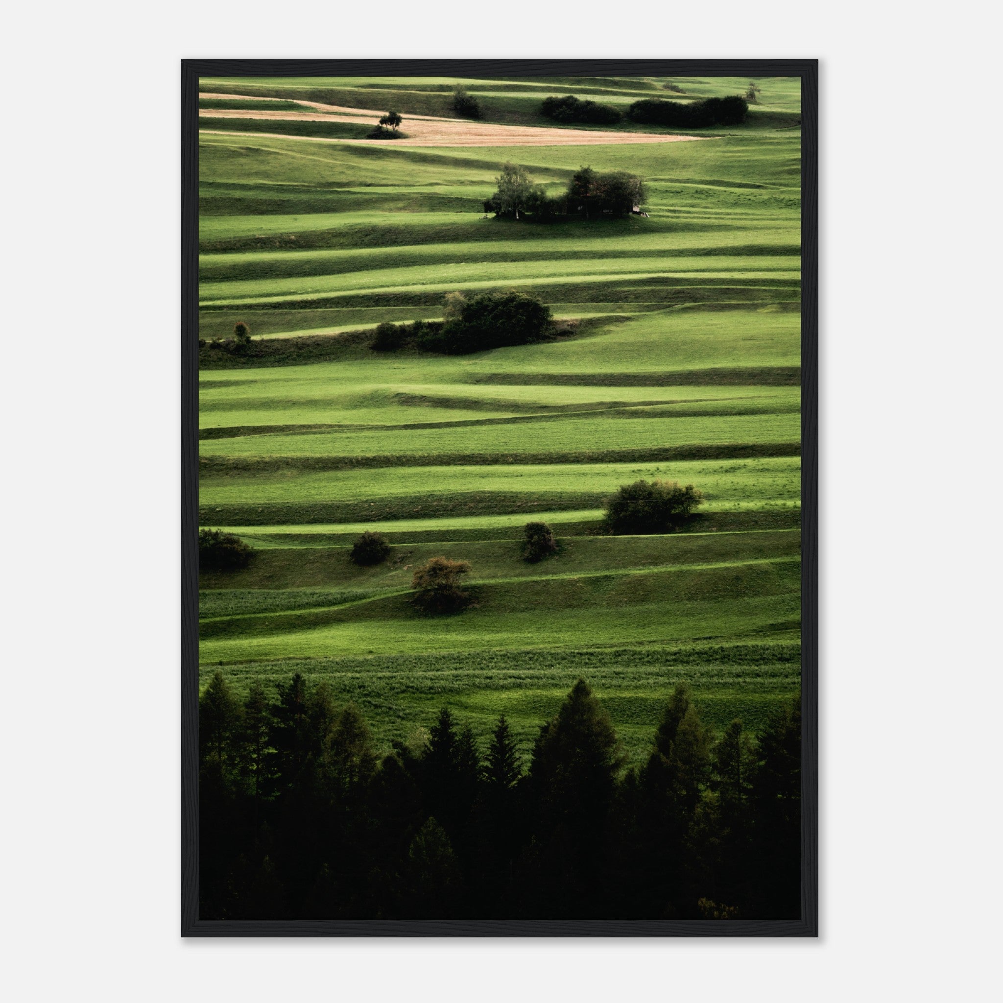 Layers Of Green Mountain Fields Poster