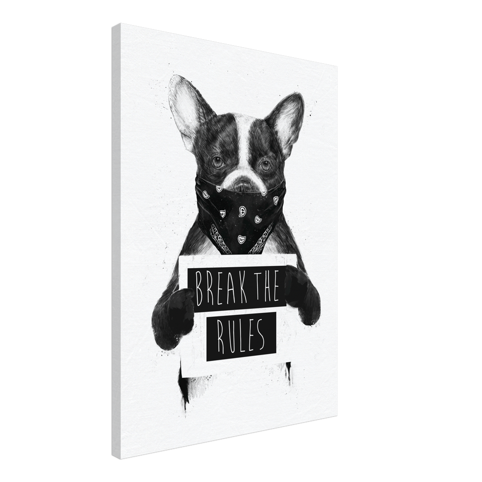 Rebel Dog Canvas