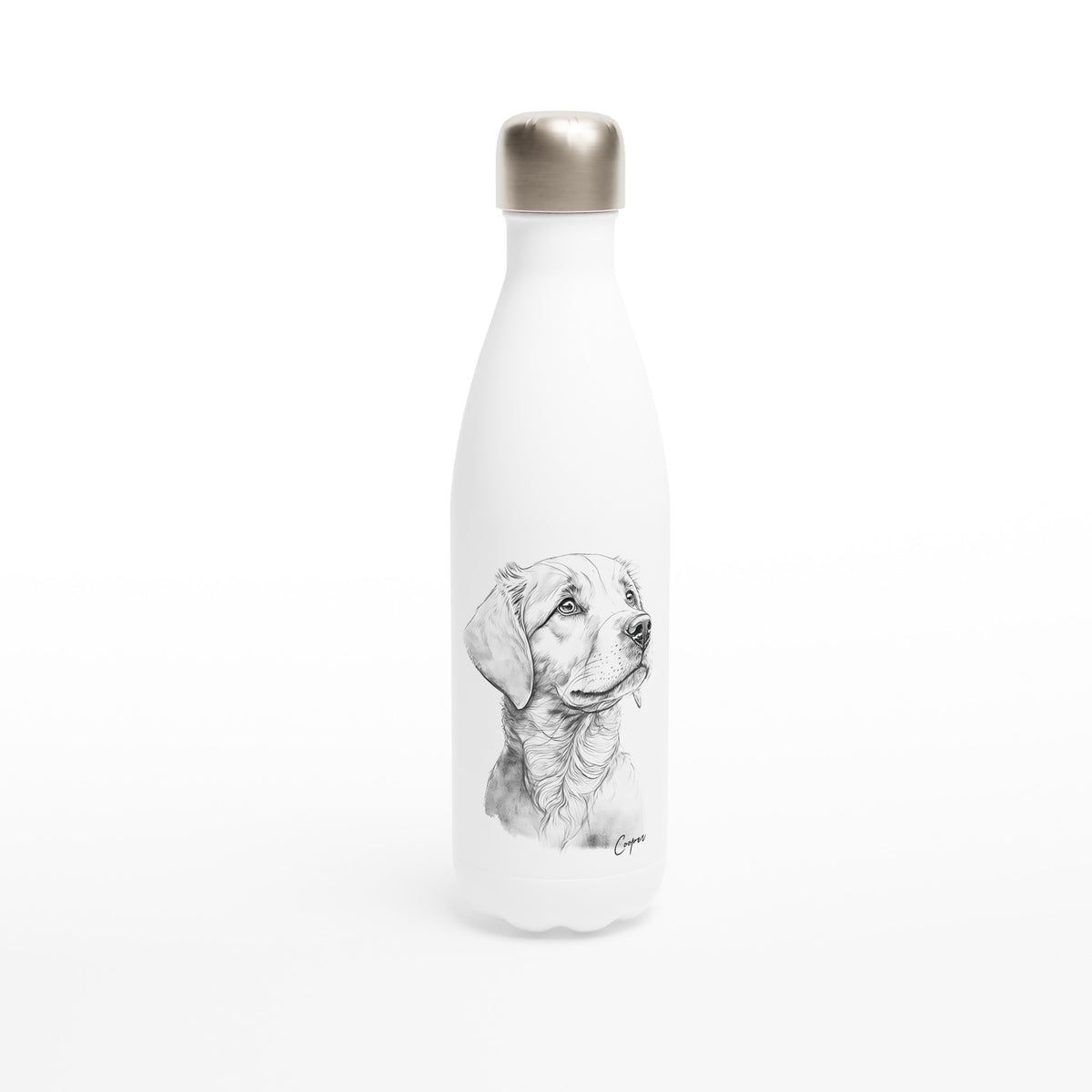 Water Bottle Designs