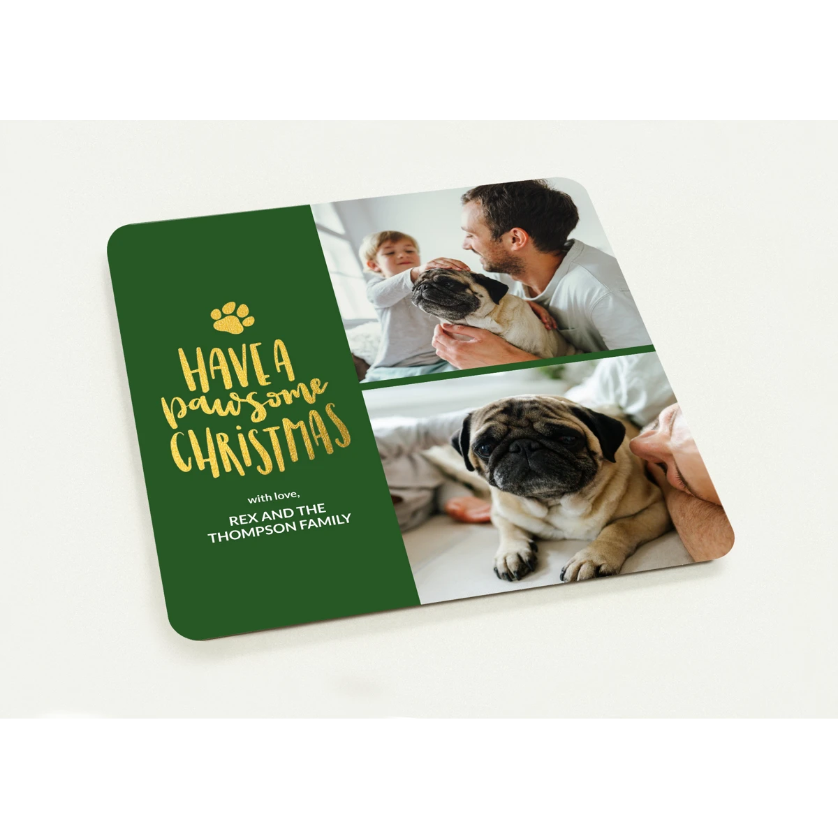 Pets Christmas Cards