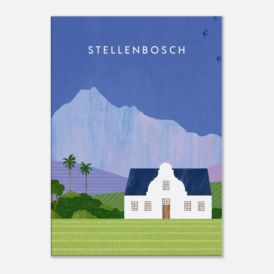 Stellenbosch Canvas