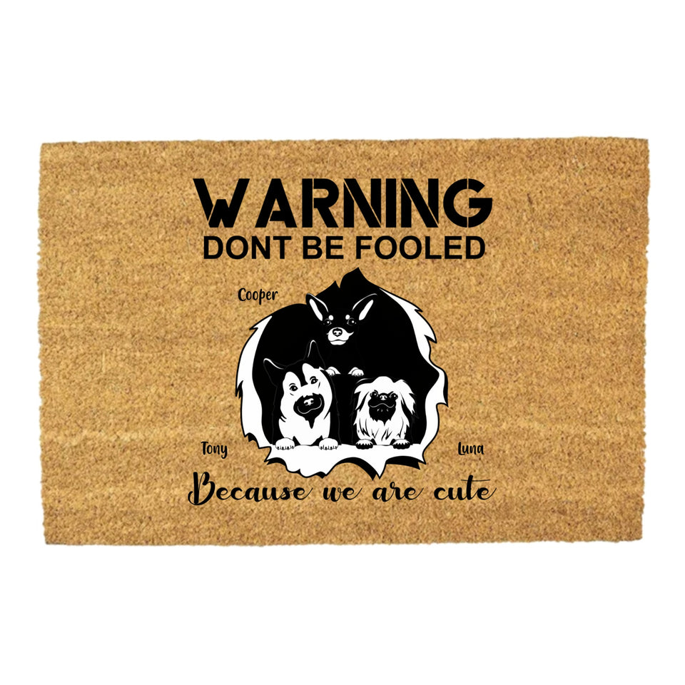 Outdoor Mat - Warning, don't be fooled